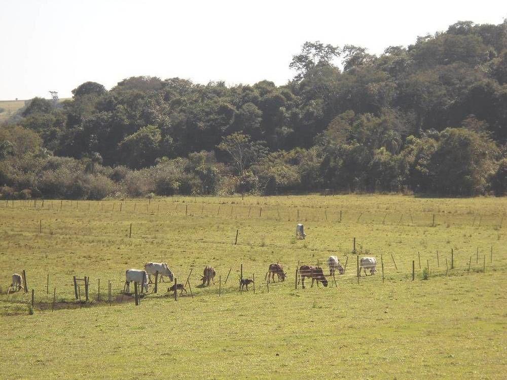 Hotel Fazenda Recanto Do Monte Alegre Piraju Kültér fotó